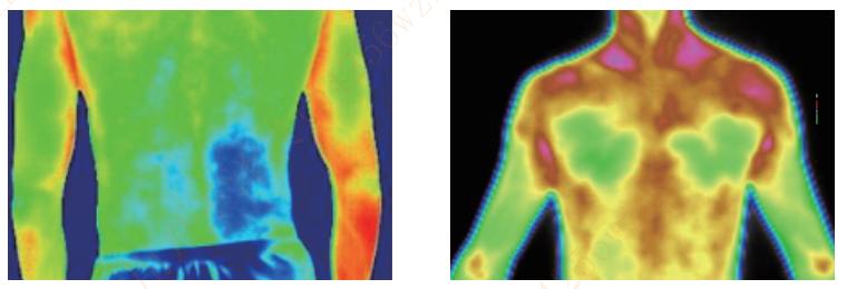 1751536453790910.png tupian5-460.png